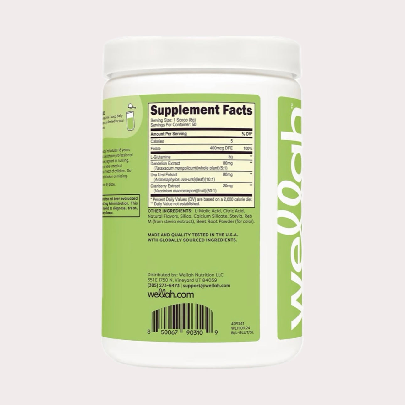 L-glutamine - Strawberry kiwi